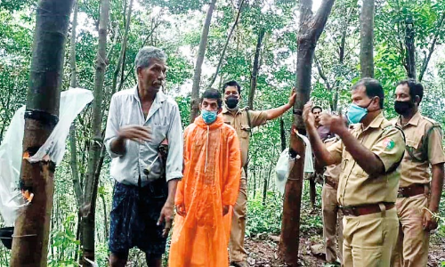 പു​ലി സാ​ന്നി​ധ‍്യം; ക​ൽ​ക്കു​ണ്ട് ചേ​രി​യി​ൽ വ​ന​പാ​ല​ക​ർ പ​രി​ശോ​ധ​ന ന​ട​ത്തി