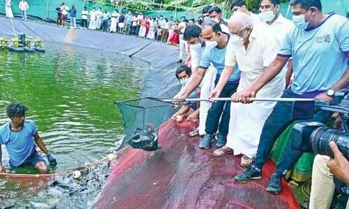 അധിക വരുമാനത്തിന് മത്സ്യകൃഷി അനുയോജ്യമെന്ന്