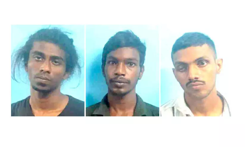 മൂന്നംഗ ആട്​ മോഷ്​ടാക്കൾ പിടിയിൽ