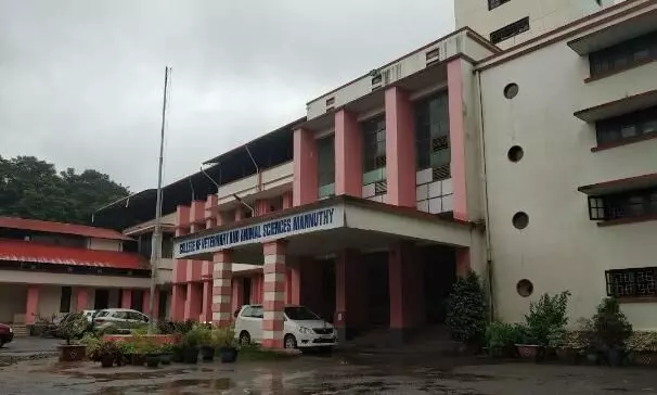 അവർ ആദ്യമായി കാമ്പസിലെത്തി; ഒന്നര വർഷത്തിന് ശേഷം അവർ ആദ്യമായി കാമ്പസിലെത്തി; ഒന്നര വർഷത്തിന് ശേഷം