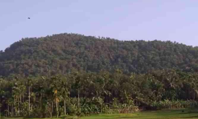 ചെങ്ങോടുമല ഖനനം; പാരിസ്ഥിതികാനുമതി നൽകരുതെന്ന് ശുപാർശ ചെങ്ങോടുമല ഖനനം; പാരിസ്ഥിതികാനുമതി നൽകരുതെന്ന് ശുപാർശ