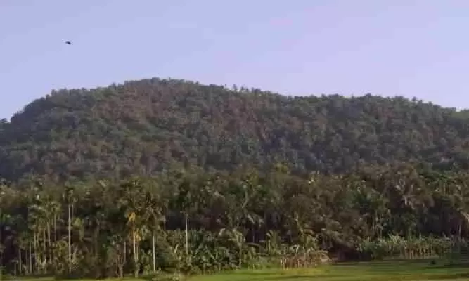 ചെങ്ങോടുമല ഖനനം; പാരിസ്ഥിതികാനുമതി നൽകരുതെന്ന് ശുപാർശ