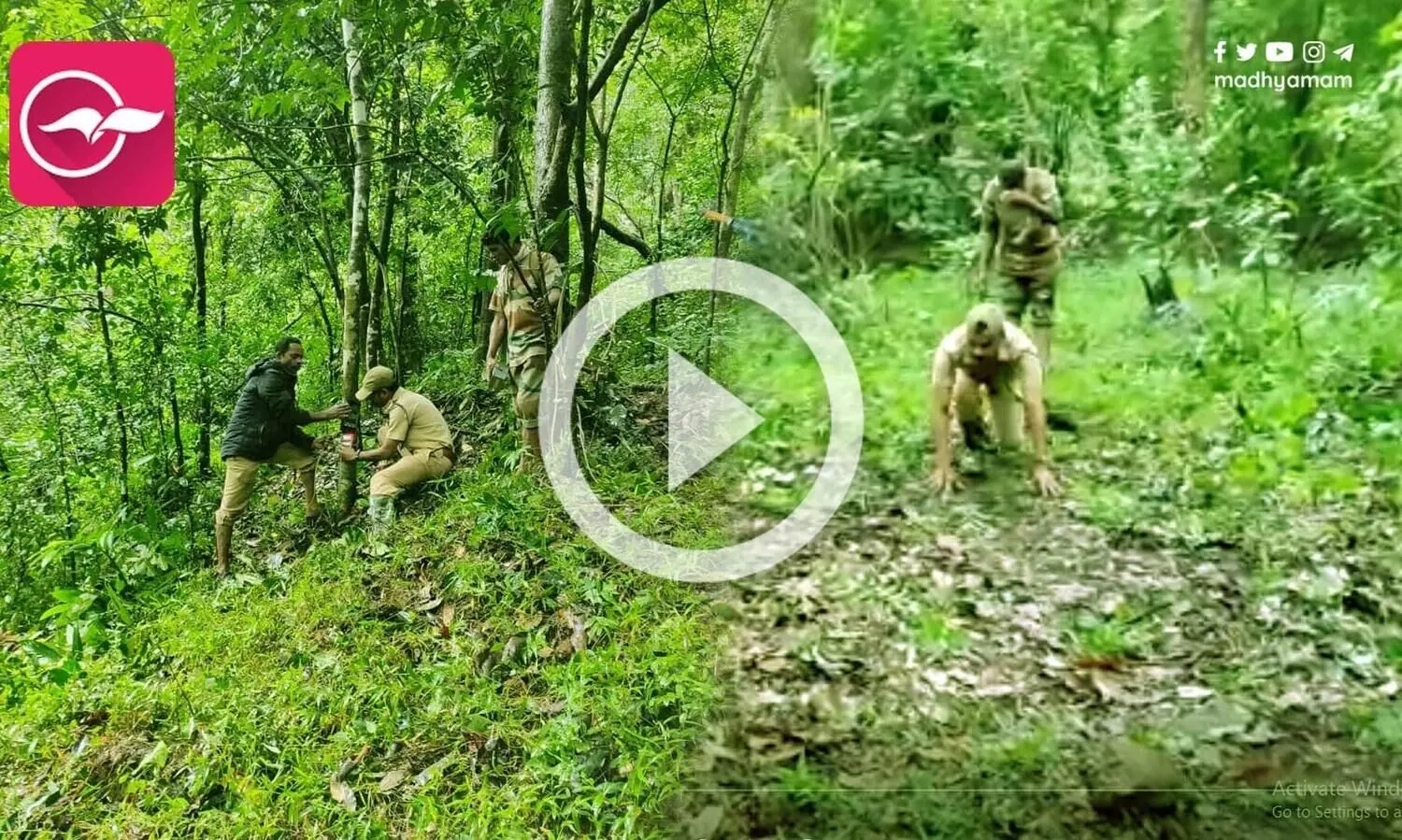 വയനാട് വന്യജീവി സങ്കേതത്തില്‍ കടുവകളുടെ കണക്കെടുപ്പ് പുരോഗമിക്കുന്നു