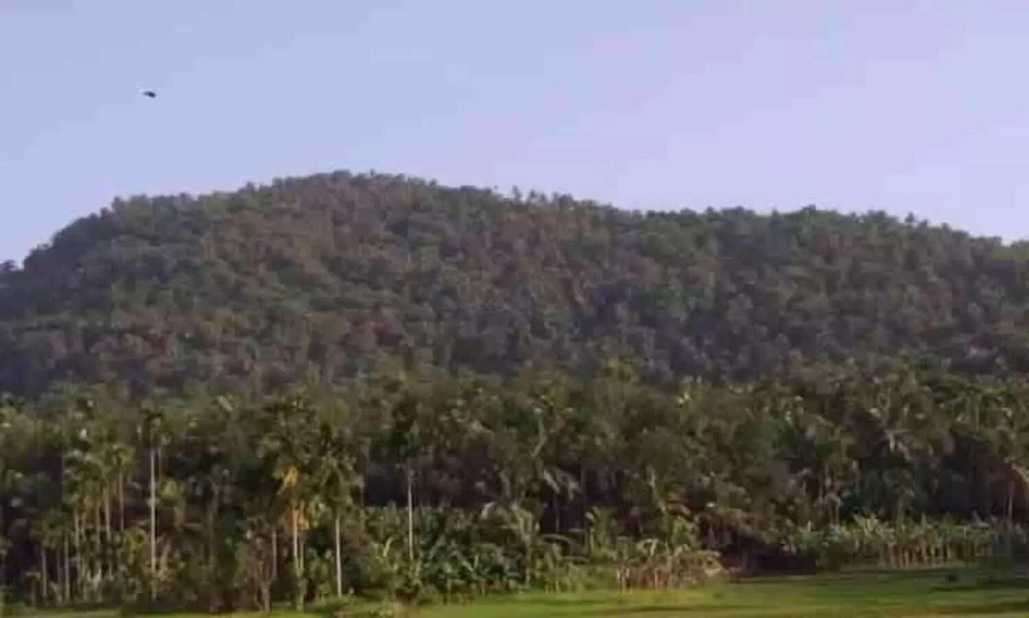 ചെങ്ങോടുമല ഖനനം; പാരിസ്ഥിതികാനുമതി നൽകരുതെന്ന് ശുപാർശ