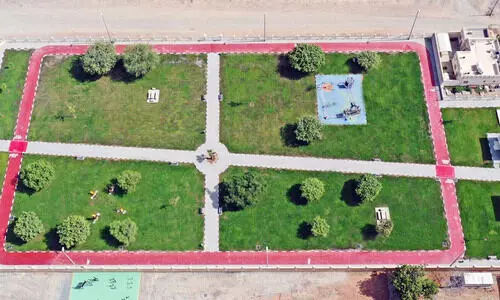 അൽ തുറൈഫ് ഉദ്യാന നവീകരണം പൂർത്തിയാക്കി