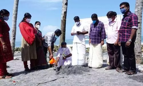 ആലപ്പാട് പഞ്ചായത്താൽ 15000 കണ്ടൽചെടികൾ വെച്ചുപിടിപ്പിക്കുന്നു