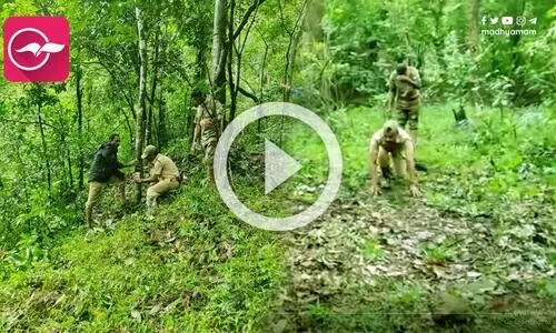 വയനാട് വന്യജീവി സങ്കേതത്തില്‍ കടുവകളുടെ കണക്കെടുപ്പ് പുരോഗമിക്കുന്നു