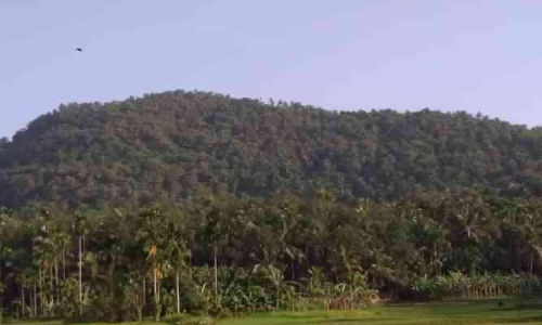 ചെങ്ങോടുമല ഖനനം; പാരിസ്ഥിതികാനുമതി നൽകരുതെന്ന് ശുപാർശ ചെങ്ങോടുമല ഖനനം; പാരിസ്ഥിതികാനുമതി നൽകരുതെന്ന് ശുപാർശ