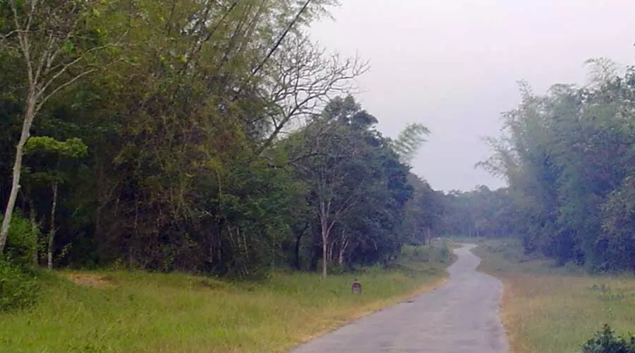 രാത്രിയാത്ര നിരോധനം: കുട്ട-ഗോണിക്കുപ്പ റോഡ് ബദലാവില്ല; മുഖ്യമന്ത്രിക്ക് എം.എല്.എ കത്ത് നല്കി രാത്രിയാത്ര നിരോധനം: കുട്ട-ഗോണിക്കുപ്പ റോഡ് ബദലാവില്ല; മുഖ്യമന്ത്രിക്ക് എം.എല്.എ കത്ത് നല്കി