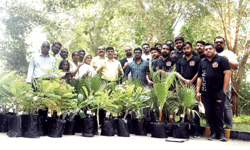 മമ്മൂട്ടിയുടെ ജന്മദിനം പരിസ്ഥിതി സൗഹൃദമാക്കി ഖത്തര്‍ മലയാളികള്‍