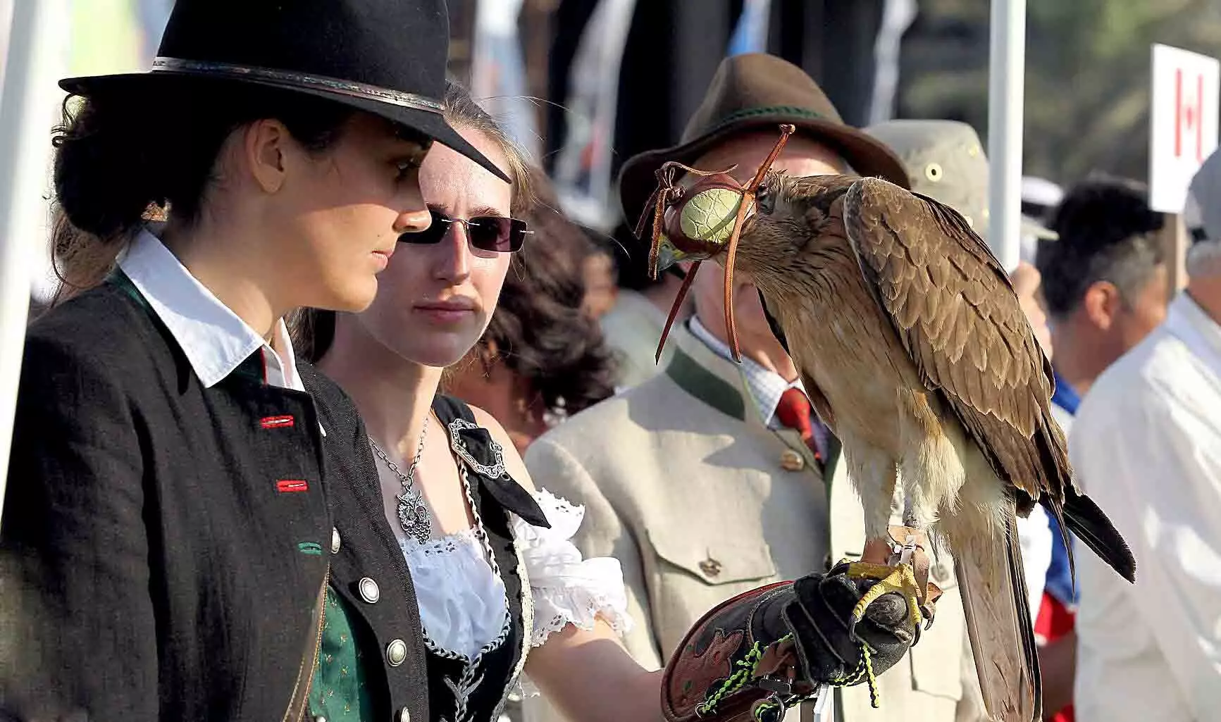 FALCONRY FALCONRY
