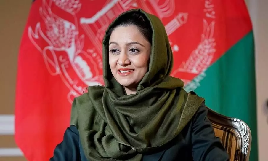 Who to blame for Taliban takeover? Former Afghan envoy Who to blame for Taliban takeover? Former Afghan envoy