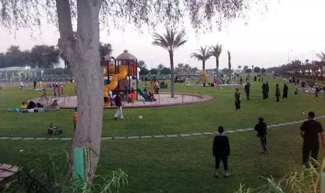 safia park ajman