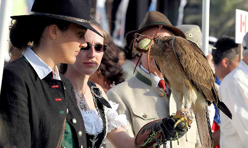 FALCONRY