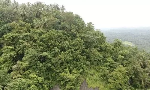 ചെങ്ങോടുമല: ഖനനവിരുദ്ധ റിപ്പോർട്ടിൽ ആഹ്ലാദിച്ച് നാട്