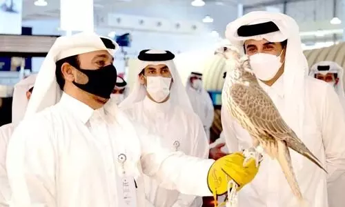 ഫാൽകൻ ഫെസ്​റ്റിൽ അമീറെത്തി