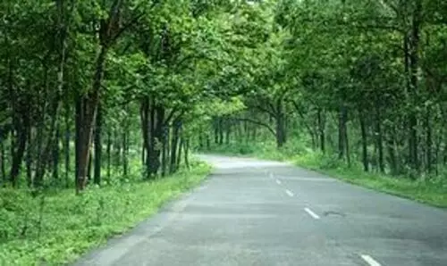 ദേശീയപാത 766 അടച്ചുപൂട്ടാനുള്ള നീക്കം സി.പി.എം-ബി.ജെ.പി ഒത്തുകളി –മുസ്​ലിം ലീഗ്