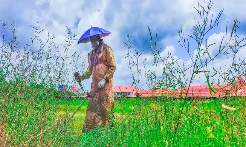 പുല്ലേ വിട; ​െനഹ്​റു സ്​റ്റേഡിയത്തിലെ പച്ചപ്പ്​ വെട്ടിമാറ്റിത്തുടങ്ങി