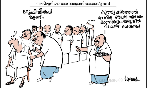 ഗ്രൂപ്പിഷീൽഡ്
