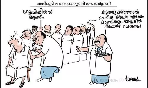 ഗ്രൂപ്പിഷീൽഡ്