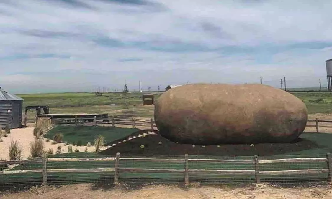 potato hotel