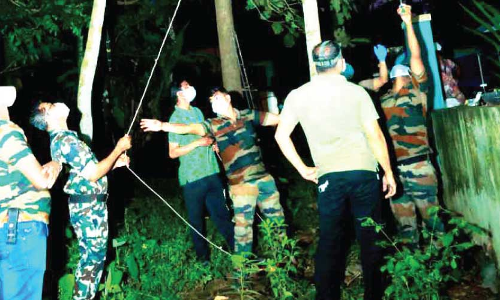 നി​പ: വവ്വാലുകളുടെ സാമ്പ്​ളിനായി വല വിരിച്ചു