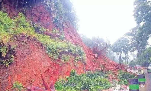 ലക്കിടി വളവിൽ കനത്ത മണ്ണിടിച്ചിൽ; ഗതാഗതത്തിന്​ ഭീഷണി