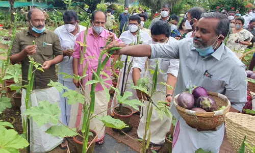 സമൃദ്ധിയിലേക്ക് ഒരു ചുവട്....