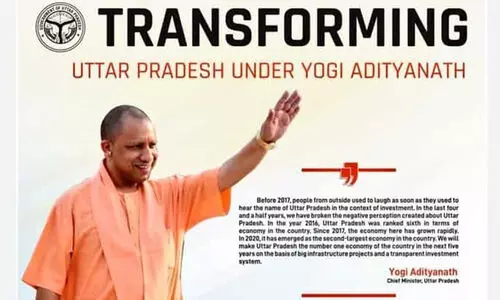 yogi ad 129121