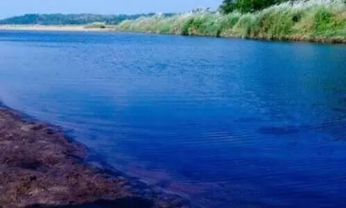 മെഡിക്കൽ വിദ്യാർഥികളെ ഒഴുക്കിൽപെട്ട് കാണാതായി