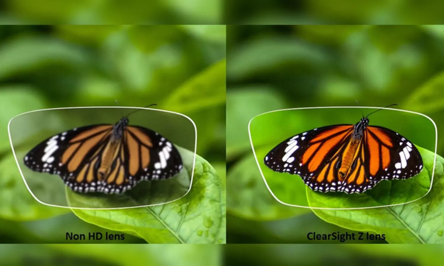 എച്ച്ഡിയില്‍ കാണാം, പോറലുകളെ ചെറുക്കും; ടൈറ്റന്‍ ഐപ്ലസില്‍നിന്നും ക്ലിയര്‍സൈറ്റ് സെഡ് ഇന്‍വിസിബിള്‍ ടഫ് ലെന്‍സ്