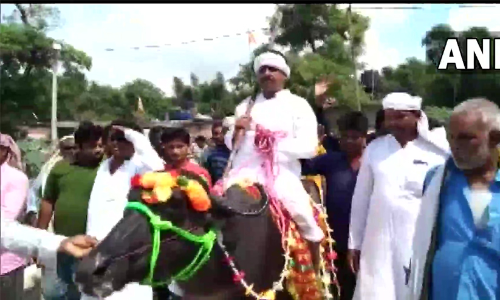 azad alam candidate bihar