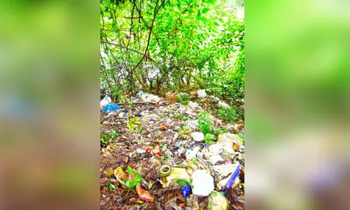 ഇവിടെയൊരു പുഴയുണ്ട്​; മാലിന്യം തള്ളാനായി