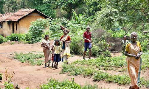 വന്യജീവി ആക്രമണം; നാഗർഹോളെയിലെ 400 ആദിവാസി കുടുംബങ്ങളെ പുനരവധിസിപ്പിക്കും