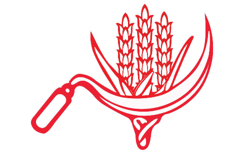 കേന്ദ്ര നേതാക്കളുടെ നി​യ​മ​സ​ഭ തെ​ര​ഞ്ഞെ​ടു​പ്പ്​ പ്രചാരണത്തിൽ ജാഗ്രതക്കുറവുണ്ടായി -സി.പി.​െഎ അവലോകന റിപ്പോർട്ട്​