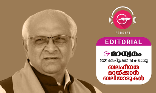 ബലഹീനത മറയ്ക്കാൻ ബലിയാടുകൾ ബലഹീനത മറയ്ക്കാൻ ബലിയാടുകൾ