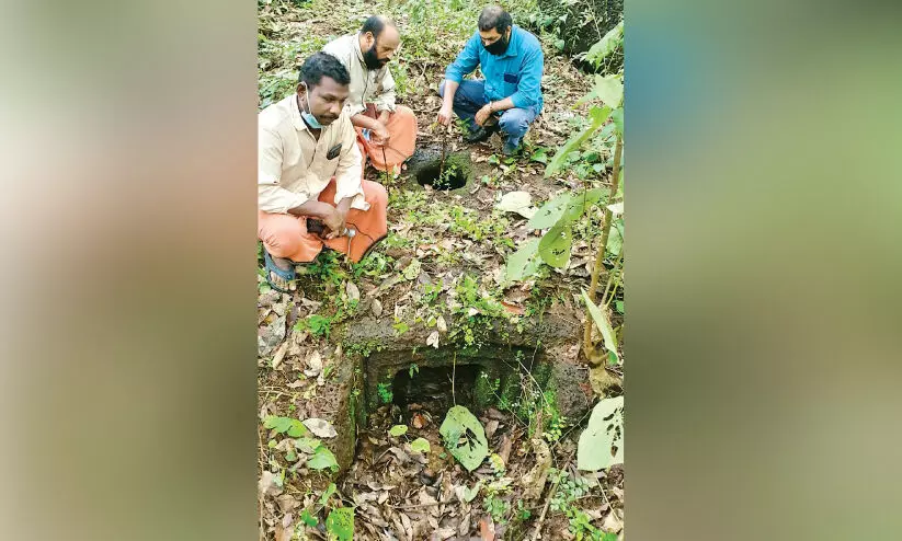 പെരിങ്ങാരയിൽ മഹാശില സ്മാരകങ്ങൾ കണ്ടെത്തി