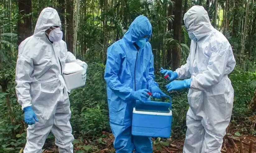 നിപ: മംഗളൂരുവിൽ നിരീക്ഷണത്തിലിരുന്നയാൾ നെഗറ്റീവ് നിപ: മംഗളൂരുവിൽ നിരീക്ഷണത്തിലിരുന്നയാൾ നെഗറ്റീവ്