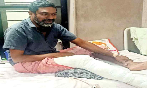 കാ​ട്ടു​പ​ന്നി ആ​ക്ര​മ​ണ​ത്തി​ൽ യു​വാ​വി​ന് ഗുരുതര പ​രി​ക്ക്