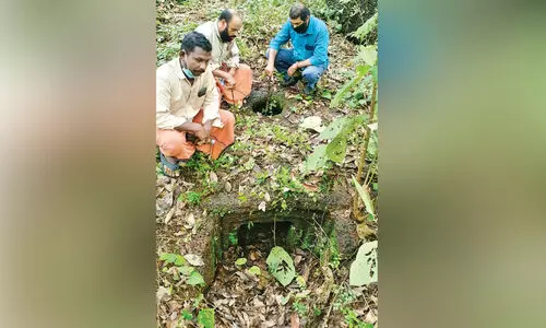 പെരിങ്ങാരയിൽ മഹാശില സ്മാരകങ്ങൾ കണ്ടെത്തി