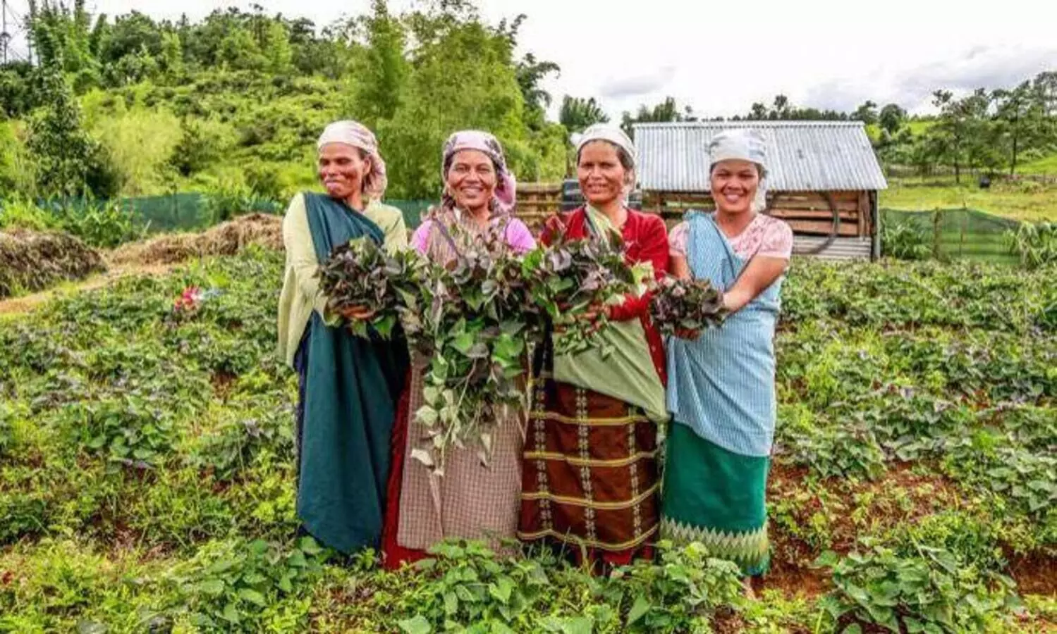 meghalaya farmers