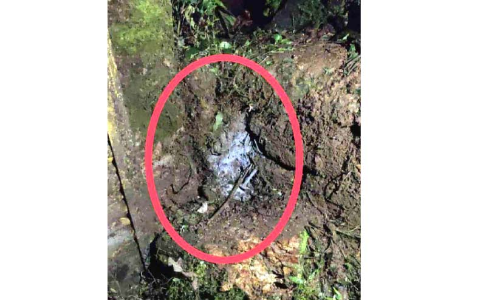 വെള്ളിയോട്ട്​ വീണ്ടും ബോംബേറ്