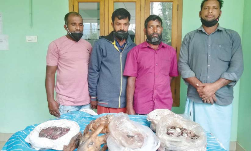 വലയിൽ കുടുങ്ങിയ കാട്ടാടിനെ കൊന്ന് മാംസം പങ്കിട്ട നാലുപേർ അറസ്​റ്റിൽ