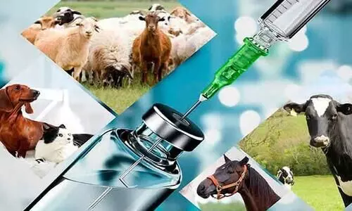 ഡോക്​ടർമാർ ​​വാ​േങ്ങണ്ട: മൃഗാശുപത്രികളിലേക്കുള്ള മരുന്നുവിതരണം സർക്കാർ ഏറ്റെടുക്കുന്നു