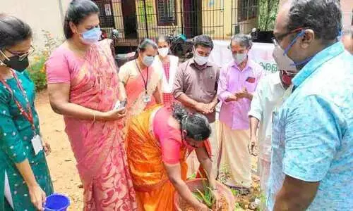 പത്തനംതിട്ട ജില്ലയിൽ ആറ് ഔഷധസസ്യ പച്ചത്തുരുത്തുകള്കൂടി; 15 തൈകള് വീതമാണ് ഓരോ പച്ചത്തുരുത്തുകളിലും ഉള്ളത് പത്തനംതിട്ട ജില്ലയിൽ ആറ് ഔഷധസസ്യ പച്ചത്തുരുത്തുകള്കൂടി; 15 തൈകള് വീതമാണ് ഓരോ പച്ചത്തുരുത്തുകളിലും ഉള്ളത്