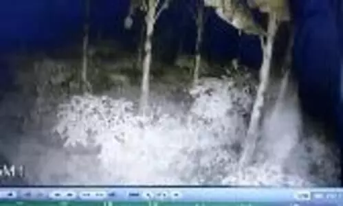 കുറുനരി ശല്യം രൂക്ഷമാകുന്നു