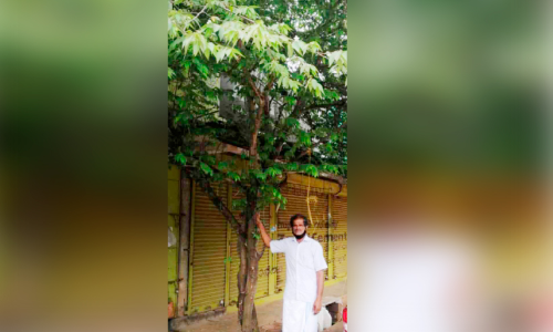 ഈ പാതയോരങ്ങളിൽ തണൽ വിരിക്കുന്നത്​ മുഹമ്മദി​െൻറ നന്മമരങ്ങളാണ്​