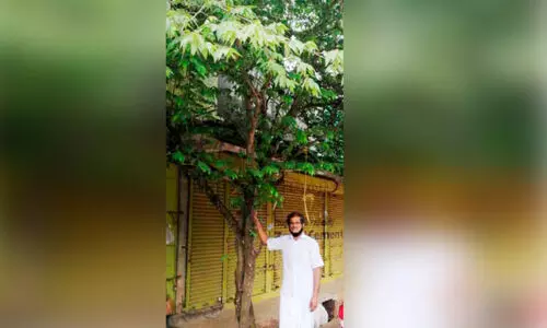 ഈ പാതയോരങ്ങളിൽ തണൽ വിരിക്കുന്നത്​ മുഹമ്മദി​െൻറ നന്മമരങ്ങളാണ്​