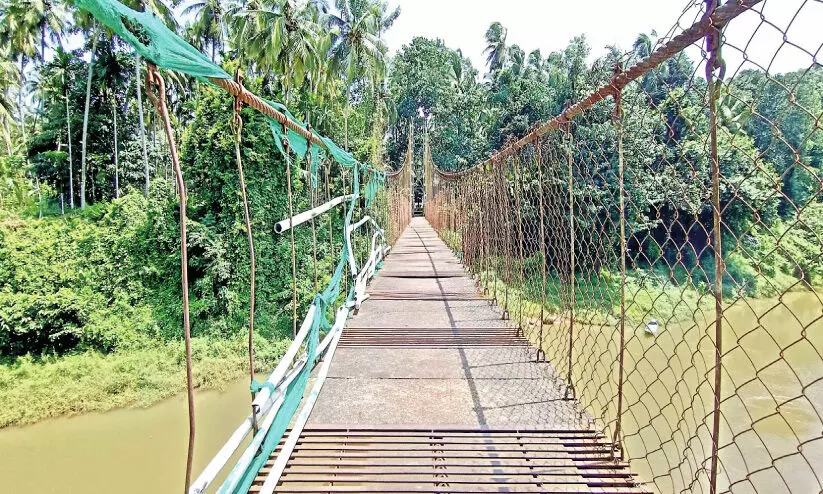 തൂക്കുപാലം അപകടാവസ്ഥയിൽ: തുക അനുവദിച്ചിട്ടും നവീകരണം വൈകുന്നു