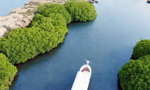 യു​െനസ്​കോ ഭൂപടത്തിൽ ഇടംപിടിച്ച്​ സൗദിയിലെ ഫറസാൻ ദ്വീപസമൂഹം